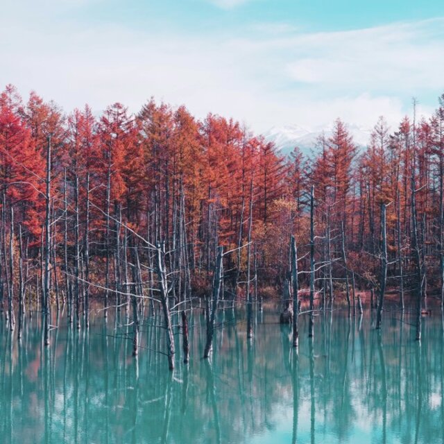 Digital