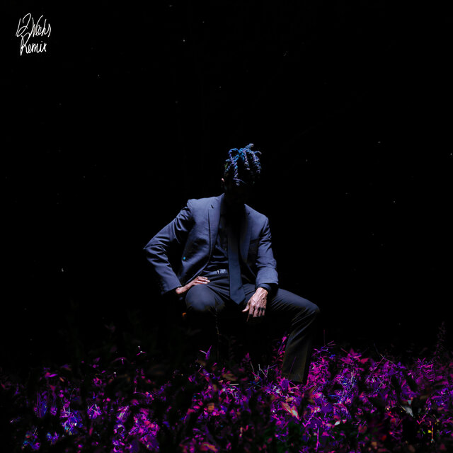 12 weeks (remix)