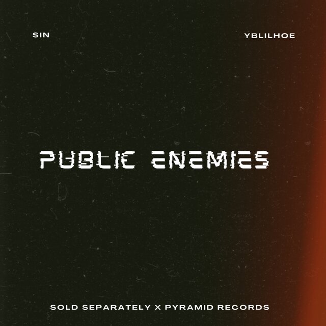 Public Enemies