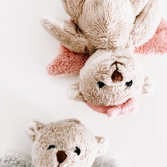 Noises soft like teddy bear
