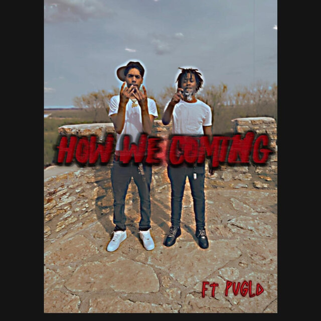 How we coming (feat. PuGld)