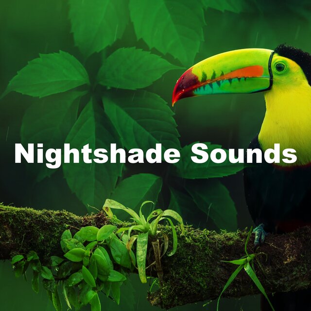 Nightshade Sounds
