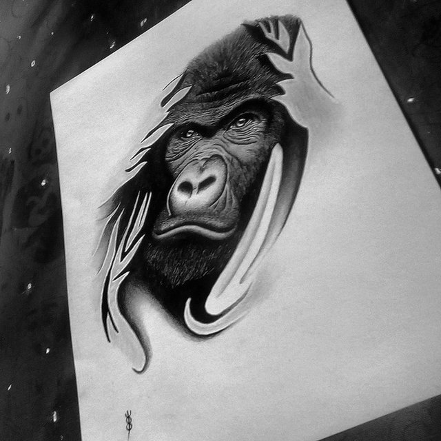Animal Soul