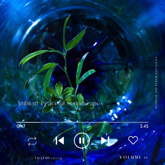 Ambient Peaceful Soundscapes - Refresh and Renew Life Goals, Vol. 11
