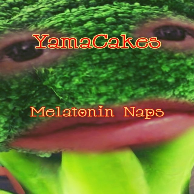 Melatonin Naps