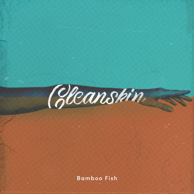 Cleanskin