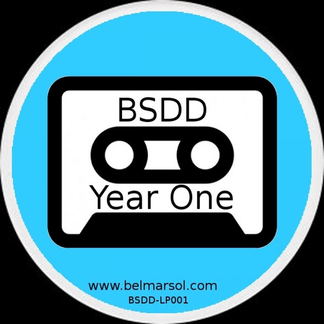 BSDD Year One