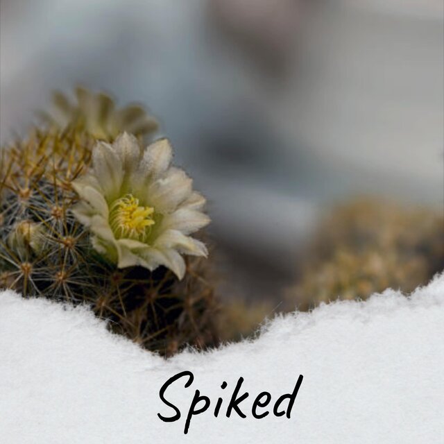 Spiked