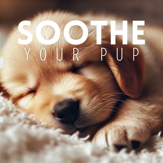 Soothe Your Pup: Tranquil Music for Dogs