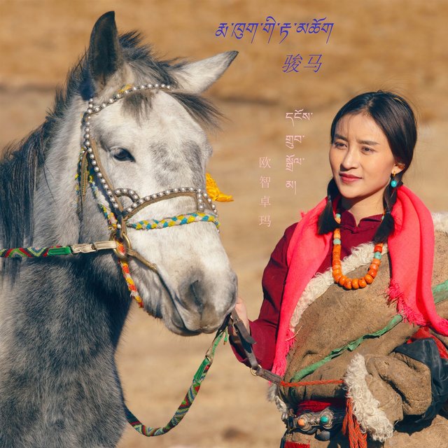 骏马