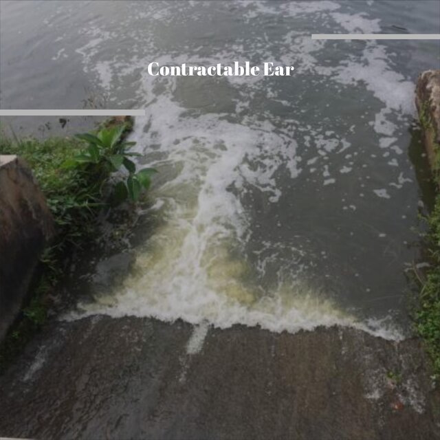 Contractable Ear