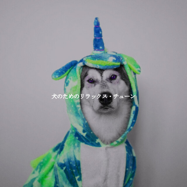 犬のためのリラックス・チューン