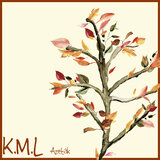K.M.L