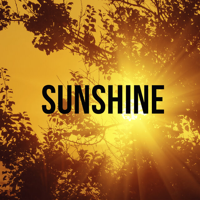 Sunshine