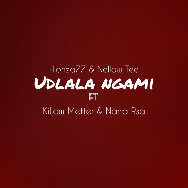 Udlala ngami (feat. Nellow Tee,Killow Metter & Nana rsa)