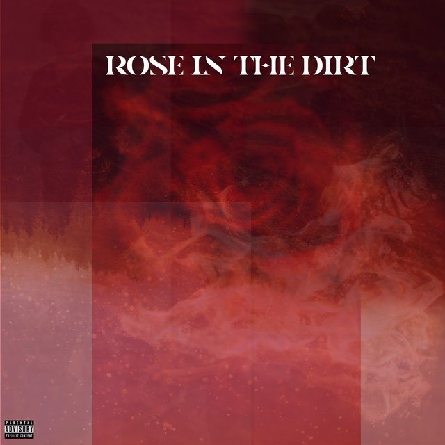 Rose In The Dirt