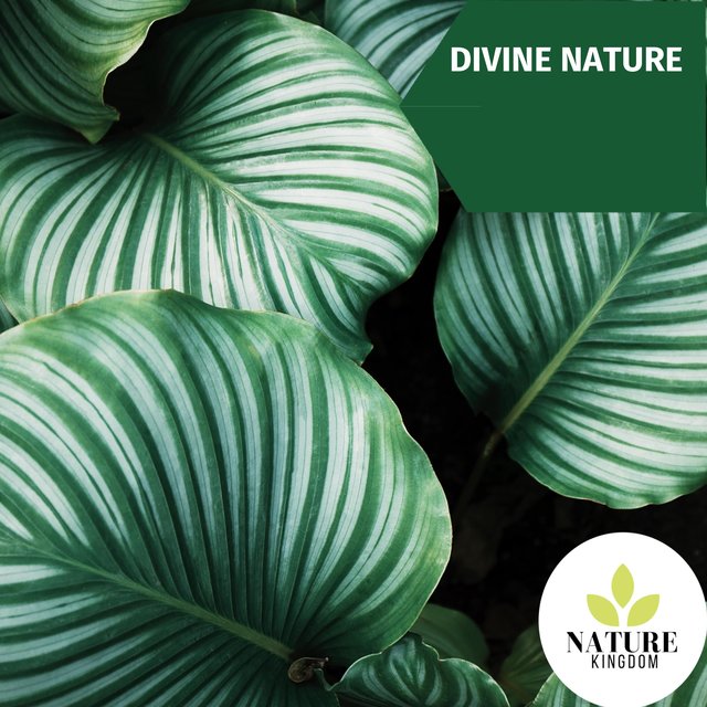 Divine Nature