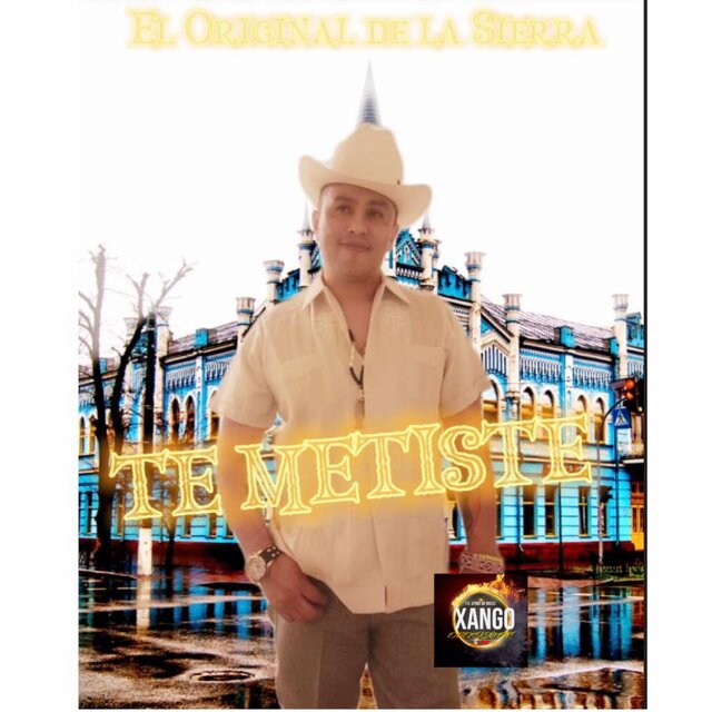 TE METISTE