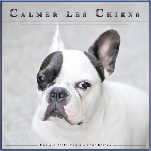 Calmer Les Chiens : Musique Instrumentale Pour Chiens