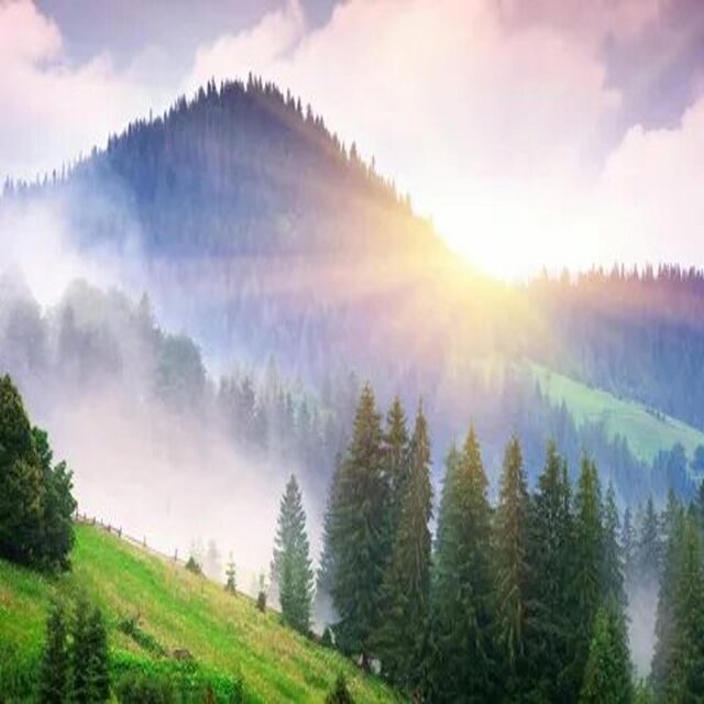 Rave Paradise