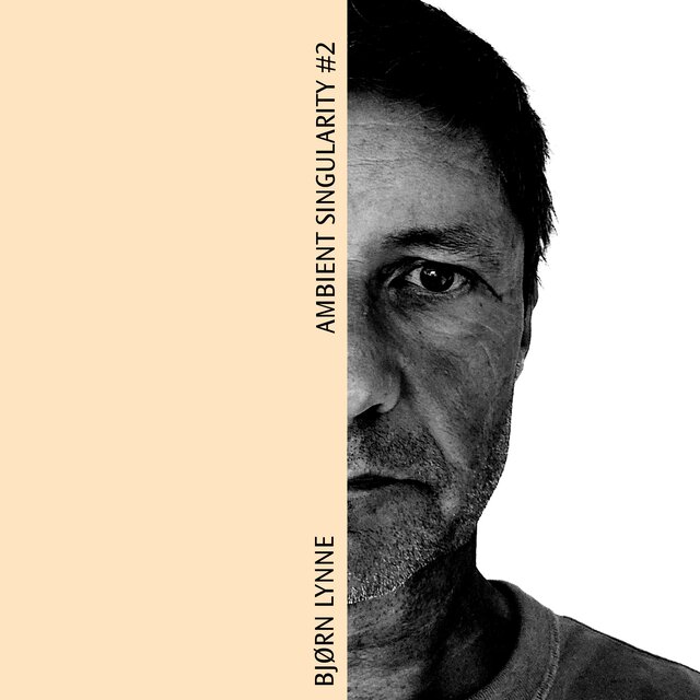 Ambient Singularity #2