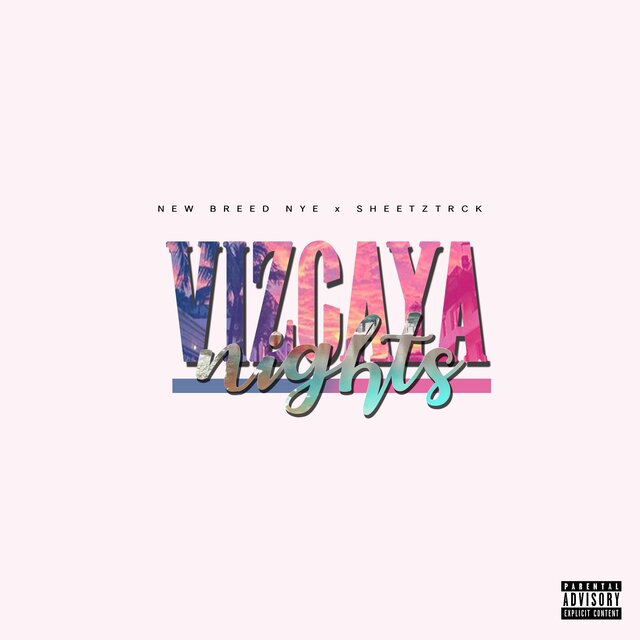 Vizcaya Nights