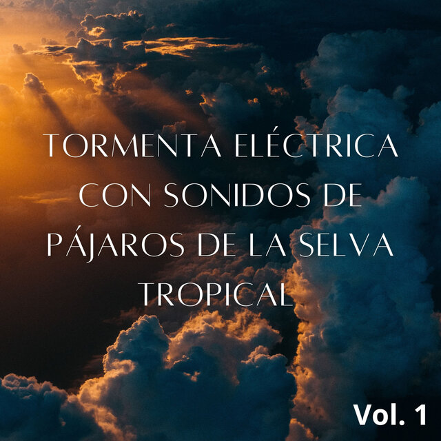 Tormenta Eléctrica Con Sonidos De Pájaros De La Selva Tropical Vol. 1