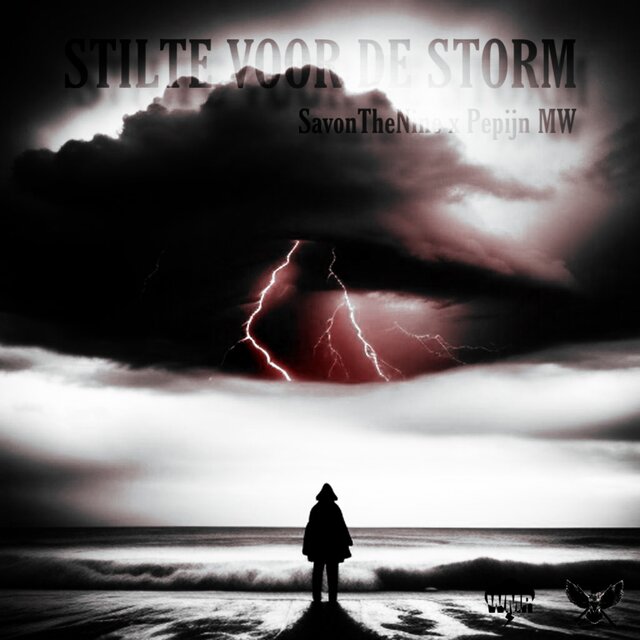 Stilte voor de storm
