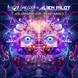 Journey Of The Mind (Original Mix)