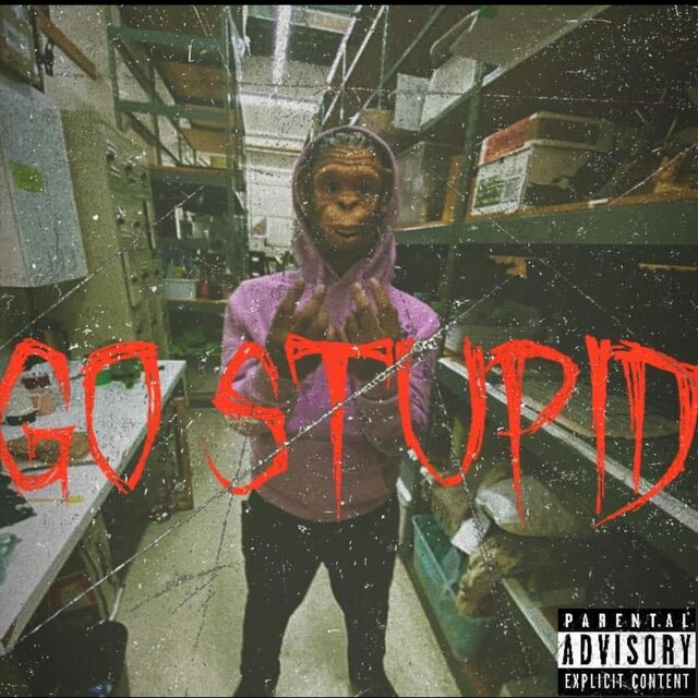 GO STUPID