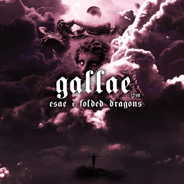 Gallae