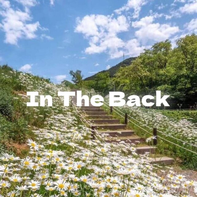 In The Back