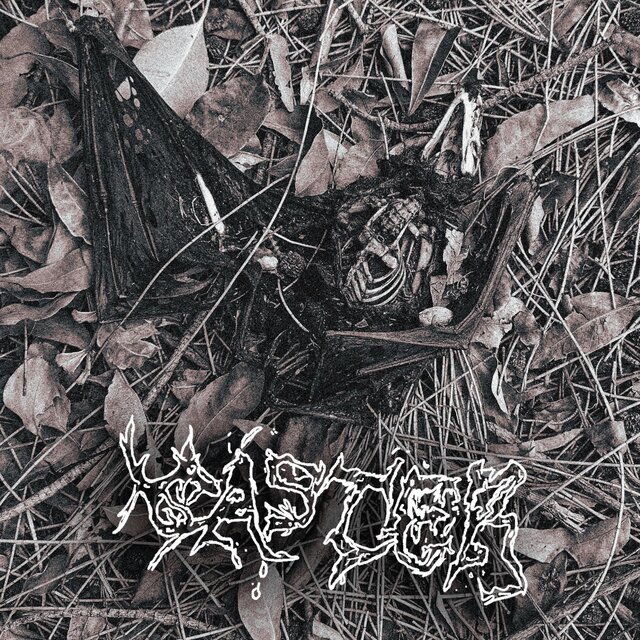 To See Is to Rot