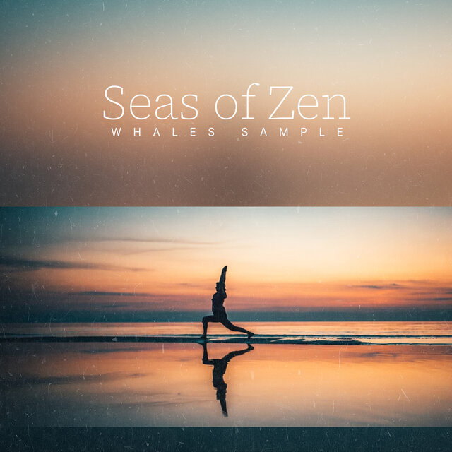Seas of Zen