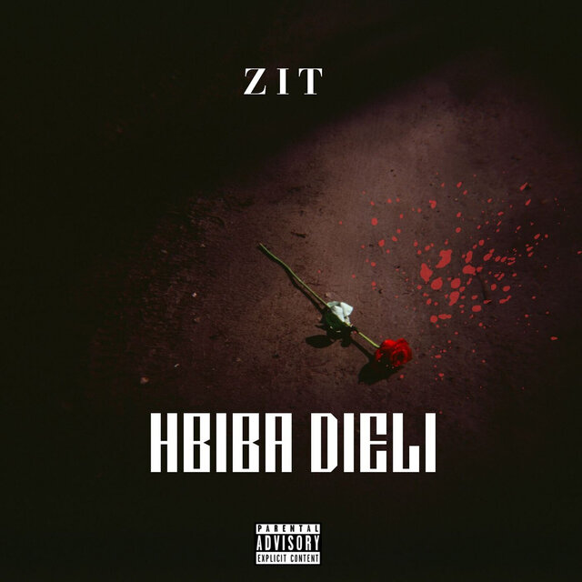 HBIBA DIELI