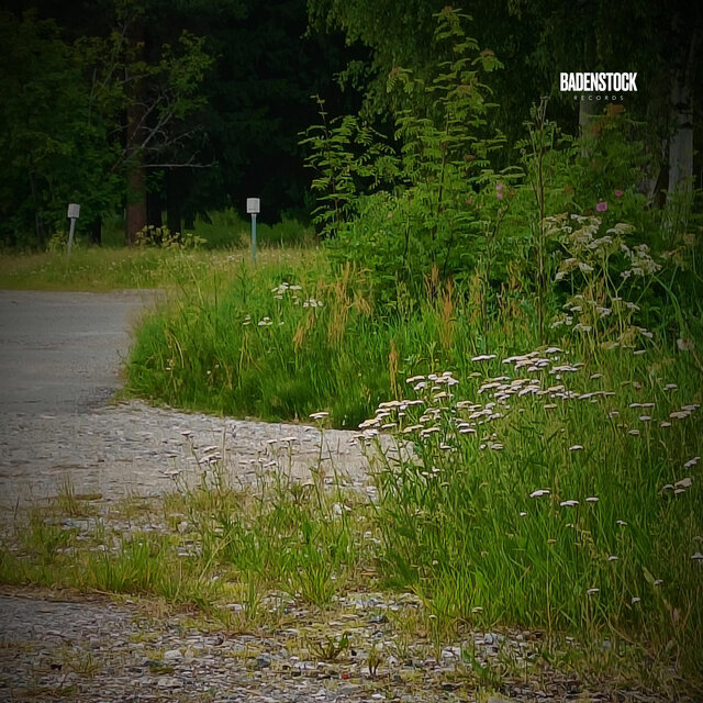 Soundscapes (Summerday at Neighbourhood)