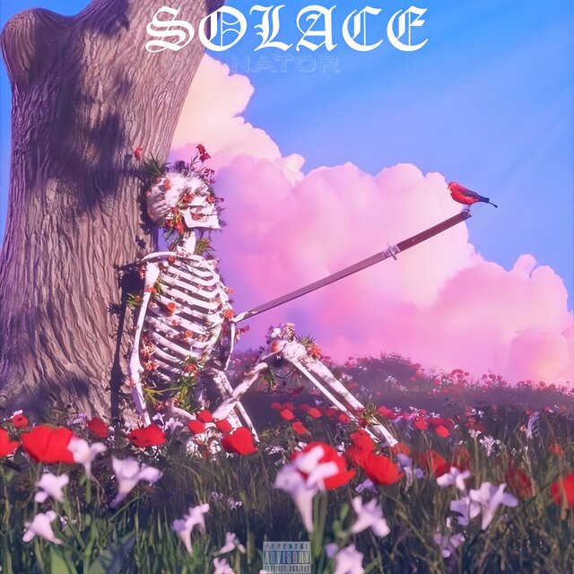Solace