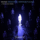 Ancestral Heritage (Paradoks Remix)