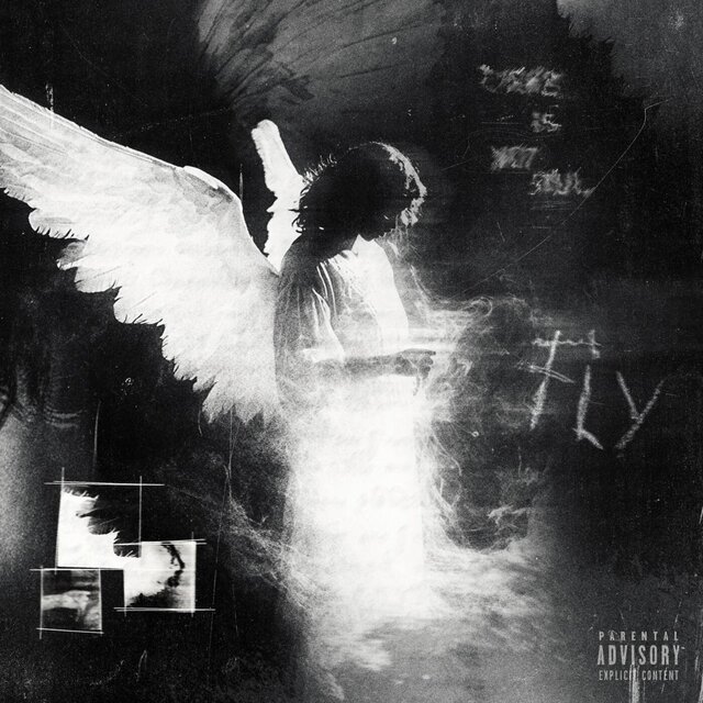 FLY