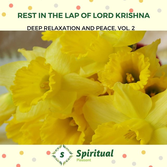 Rest In The Lap Of Lord Krishna - Deep Relaxation And Peace, Vol. 2