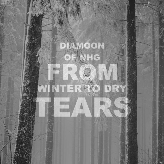 From Winter To Dry Tears (Lofi)