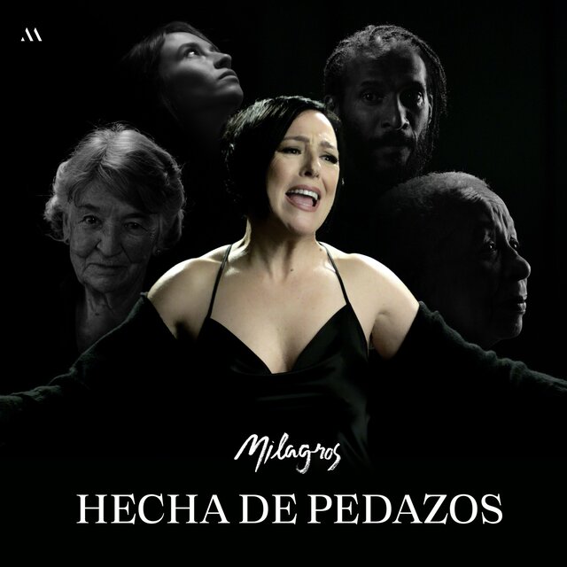 Hecha de pedazos