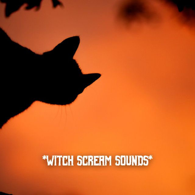 * Witch Scream Sounds *