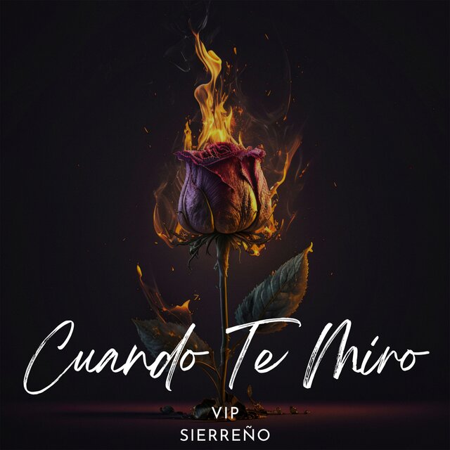 Cuando Te Miro