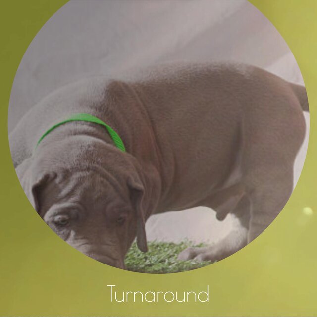 Turnaround