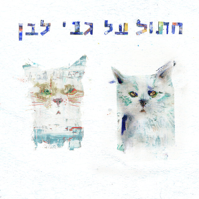 חתול על גבי לבן