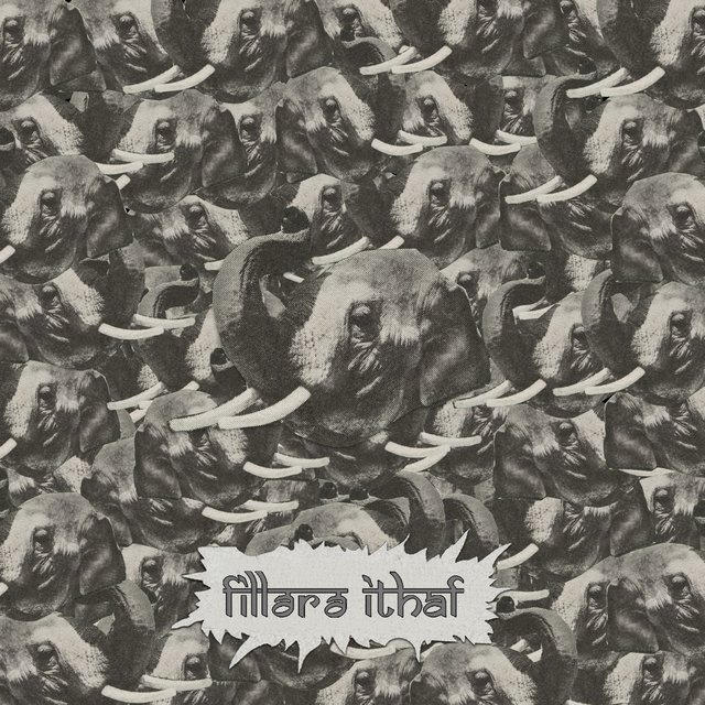 Fillərə ithaf