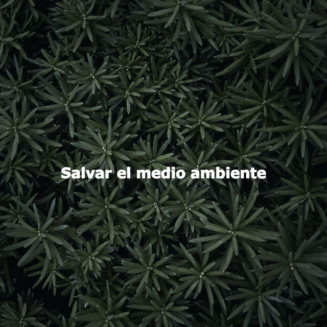 Salvar el medio ambiente