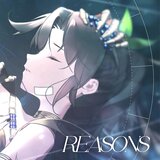 Reasons (From 