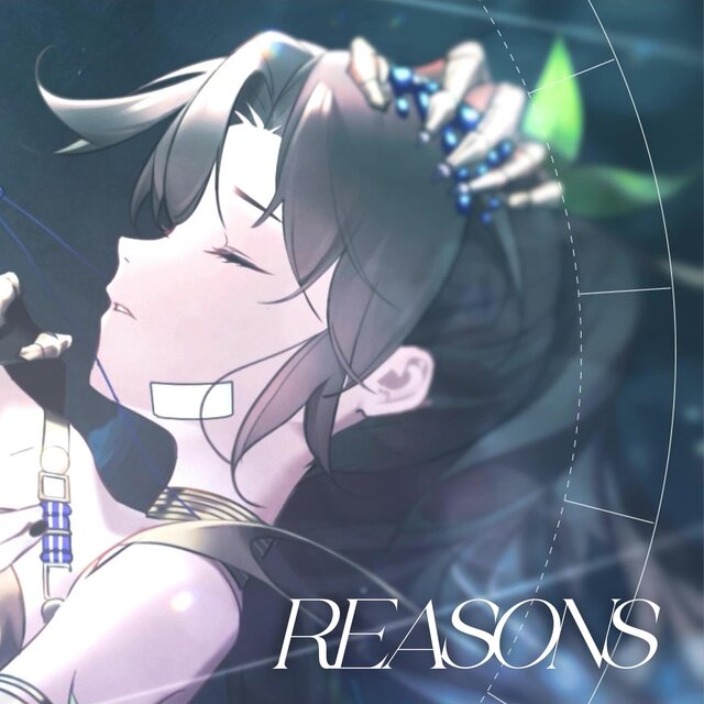 Reasons (From 